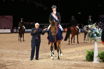 Robert Murphy & Lightning TW win Senior Newcomers title at Horse of the Year Show Robert Murphy & Lightning TW win Senior Newcomers title at Horse of the Year Show